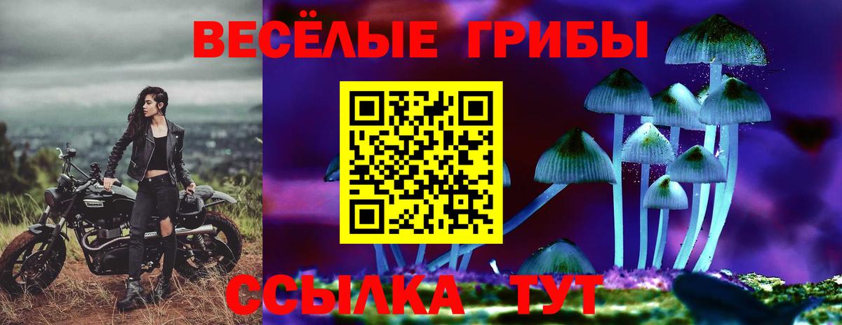 Псилоцибиновые грибы Psilocybine cubensis  Галлюциногенные грибы Psilocybine cubensis  Вход с VPN  Магнитогорск 
