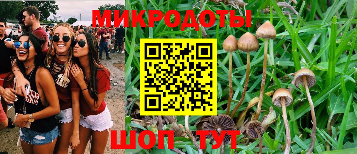 Галлюциногенные грибы мухоморы Магнитогорск